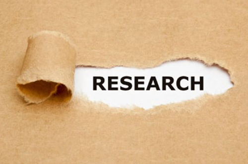 CSRD Research & Paper Publication