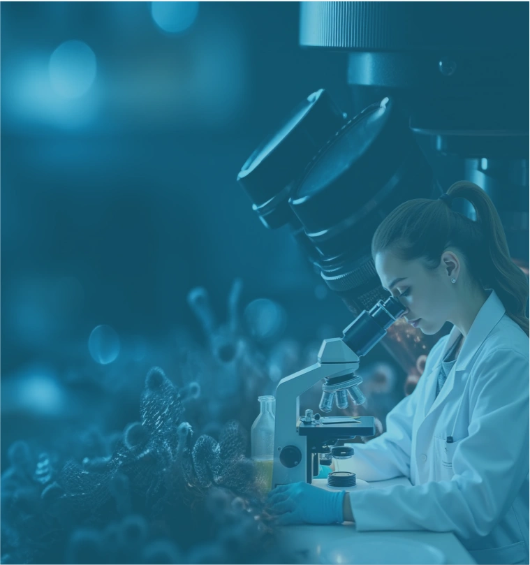 CSRD Research Centre – About Section