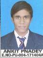 ANKIT PANDEY PU-004171404A